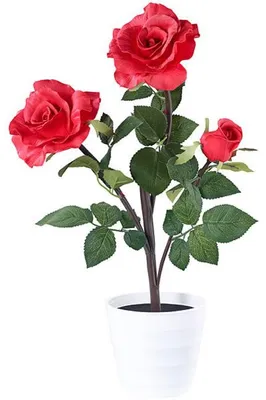 Image de Rosier LED 3 fleurs rouge 50cm