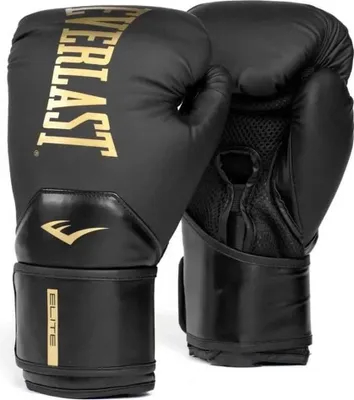 Zdjęcie produktu dla Everlast Elite 2, Pianka, Guma