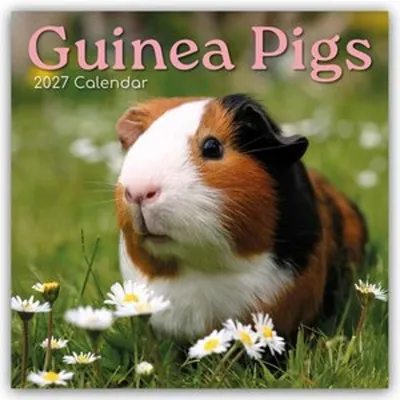 Immagine prodotto di Porcellini di Guinea - Calendario bimestrale 2027 (16 mesi)
