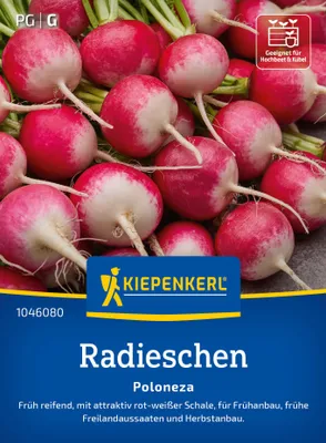 Produktbild von Kiepenkerl Radieschensamen Poloneza Raphanus sativus sativus 8-10 lfd. Meter