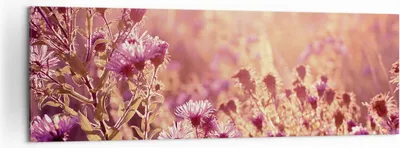 Produktbild von Bild auf Leinwand - Leinwandbild - Einteilig - Wiese Blumen Sonne - 160x50cm - Wand Bild - Wanddeko - Wandbilder - Leinwanddruck - Bilder - Wanddekoration - Leinwand bilder - Wandbild - AB160x50-4819