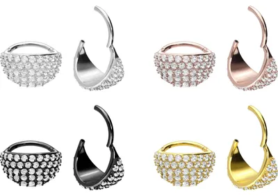 Produktbild von Ohrpiercing, Nasenpiercing, Septum Piercing Chirurgenstahl Segmentring Clicker EINGEFASSTES KRISTALLSCHILD