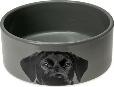 Image de Karlie gamelle en céramique pour chien 1500 ml, couleur:gris