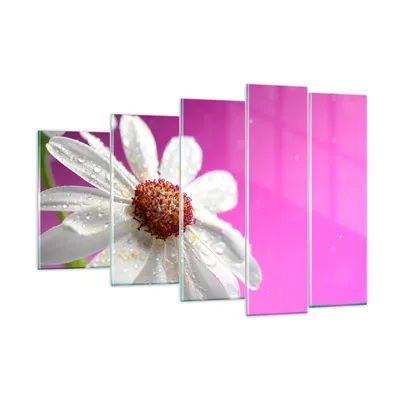 Produktbild von Bilder auf glas - Blume frühling garten - 150x100cm - Glasbilder - Wandbilder - Kunstdruck - zum Aufhängen bereit - Wanddekoration aus Glas - Glas Bilder - Wandbild auf Glas - GEG150x100-2469