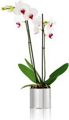 Produktbild von 1x BLOMUS Blumentopf Greens Umtopf, Saattopf