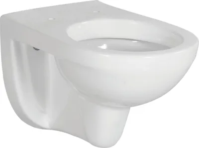 Produktbild von sanicomfort Hänge Wand-WC REKIA, mit Spülrand, Abgang waagrecht, Sanitärkeramik, weiß, ohne WC-Sitz