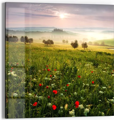 Produktbild von DEQORI Glasbild Echtglas 30x30 cm 'Idyllisches Morgenlicht' Wandbild Bild modern Deko