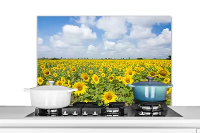Obrázok produktu pre KitchenYeah® Splashback - kuchynský splashback - ochrana steny sporáka a drezu - slnečnice - kvety - mraky - príroda - žltá - krajina 80x55 - Alu-Dibond (alternatíva k sklenenému splashbacku)