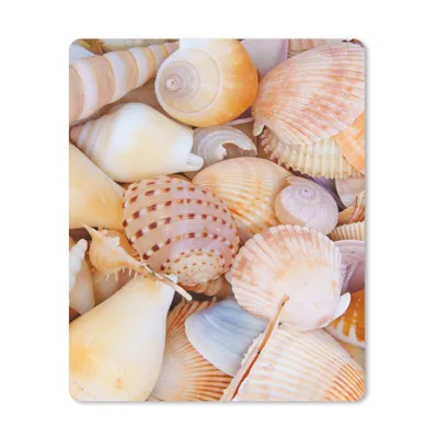 Produktbild von MuchoWow® Mauspad Mousepad Muscheln - Strand - Sommer - Orange 30x40 cm - Mousepads - Maus Mat - Pad - Mausunterlage - Mausmatten