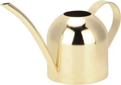 Image de arrosoir en inox de 500 ml avec long bec verseur pour l'intérieur et l'extérieur - design moderne pour arroser les fleurs et les plantes