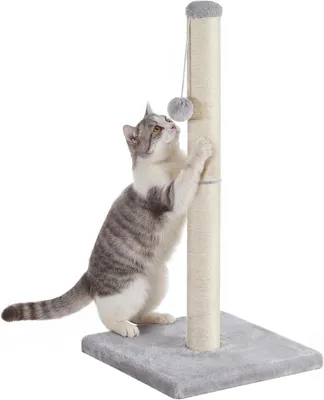 Immagine prodotto di Albero per gatti da 84 cm | Tiragraffi con sisal naturale e pallina in peluche | Base stabile e design salvaspazio | Grigio chiaro