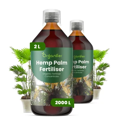 Obrázek produktu pro Konopná Palma Tekuté Hnojivo 2x1 L – 2-1-8 NPK – Pro Konopné Palmy – Podporuje Odolné Rostliny & Sýty Růst Listov – Organifer