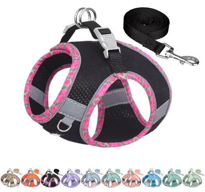 Immagine prodotto di Collare e guinzaglio per cani di piccola taglia, regolabile, riflettente, colore nero, taglia XXS