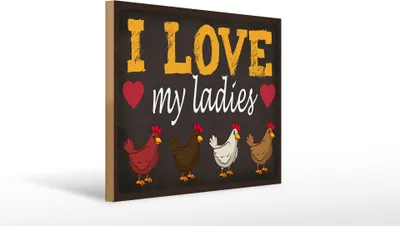 Produktbild von Holzschild hühner i love my ladies, 40x30 cm, Holzschilder Spruch Hühner Tier Love