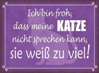 Produktbild von vianmo Holzschild 30x40 cm froh meine Katze nicht sprechen Spruch Zitat