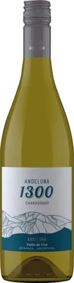 Produktbild von Chardonnay 1300 Tupungato Mendoza 2019 - Andeluna Cellars