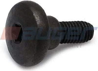 Image de 10x AUGER 80220 vis