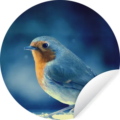 Produktbild von MuchoWow® Runde Wandtattoo - Wandsticker Tapete Aufkleber Rotkehlchen - Blau - Schnee Ø 50 cm Selbstklebend und Repositionierbar - Wandaufkleber - Kreis - Wand Kreis - Wand Bild - Foto Tapete - Selbstklebende - Wohnzimmerdekoration - Wand Dekoration - Kinderzimmer