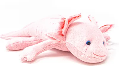 A pink plush axolotl toy lying on a white background.