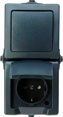 Imagen del producto de Interruptor de serie para ambientes húmedos Nautic, color antracita, modelo 565515009