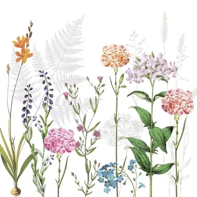 Produktbild von Braun & Company Servietten Motiv Botanica 33 x 33 cm - 20er Pack
