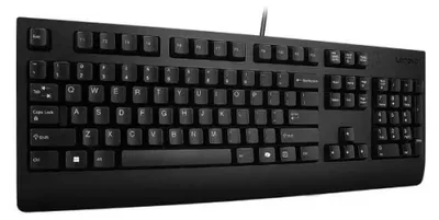 Produktbild von Lenovo 4Y41R64611, Volle Größe (100%), Kabelgebunden, USB, Plunger key switch, Schwarz