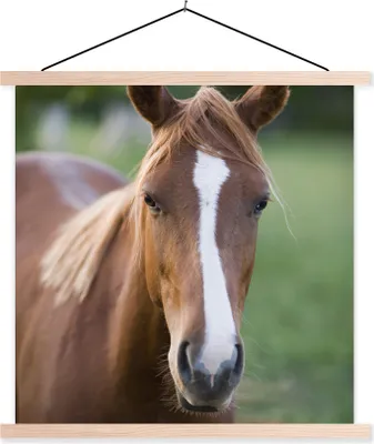 Produktbild von MuchoWow® Textilposter Pferd - Natur - Porträt 40x40 cm mit holzfarbenen Rahmen - Posterleiste