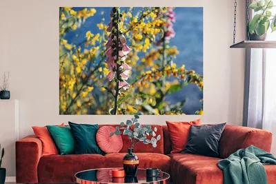 Produktbild von MuchoWow® Poster Rosa Blume mit Stechginster im Hintergrund 160x120 cm - Foto Plakat