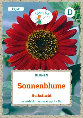 Produktbild von Grüne Fee - Sonnenblume Herbstlicht Samen - 13570