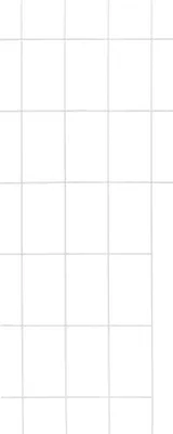Produktbild von TrendLine Spaliergitter 150 x 60 cm
