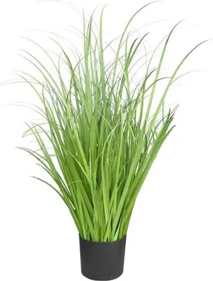 Immagine prodotto di Erba decorativa artificiale in vaso verde Wheatgrass 55cm