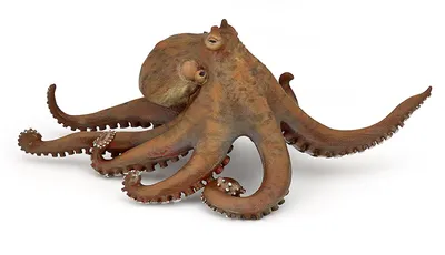 Produktbild von Papo Krake, 3 Jahr(e), Marine life, Braun, PVC
