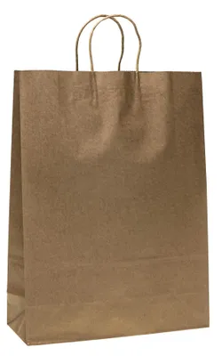 Image de Sacs cadeaux Kraft M-5