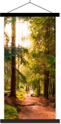 Produktbild von MuchoWow® Textilposter Wald - Weg - Bäume - Grün - Sonne - Natur 90x180 cm mit schwarzem Rahmen - Dekoration Wohnzimmer