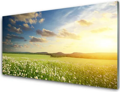 Produktbild von Acrylglasbilder 100x50 Wandbild Druck Wiese Blumen Landschaft