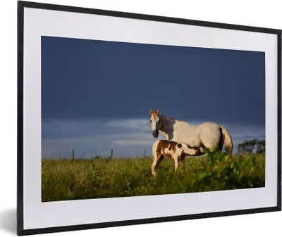 Produktbild von MuchoWow® MuchoWow® Gerahmtes Poster Pferde - Gras - Fohlen 60x40 cm - Poster mit zchwarzem Bilderrahmen - Schlafzimmer - Plakat in Rahmen - Drucken