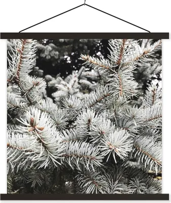 Produktbild von MuchoWow® Textilposter Baum - Äste - Winter 60x60 cm mit schwarzem Rahmen - Posteraufhänger