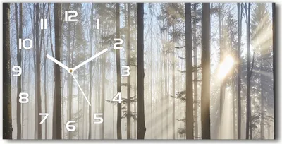 Produktbild von Wanduhr aus Glas – 60x30 cm - Glasbild - Glasuhr - Gehärtetes Glas - weisse-zeiger - Nebel im Wald