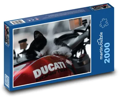 Obrázok produktu pre martinpuzzle - Puzzle 2000 - Maciatko na motorke