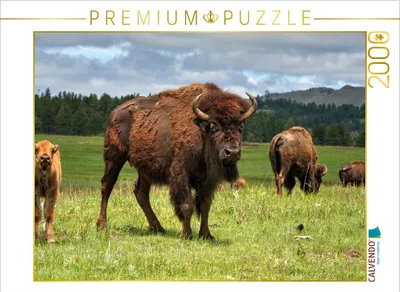Produktbild von Calvendo 4059478946187, 2000 Stück(e), Tiere, 14 Jahr(e)