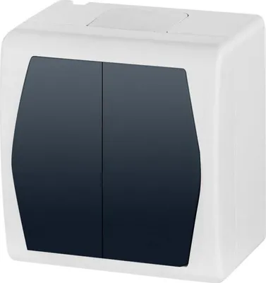 Immagine prodotto di Schalter Hermes2 2G Weiss/Grau Ip44 1002-01