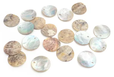 Image de Disques en nacre naturelle, 19 mm, 20 pièces