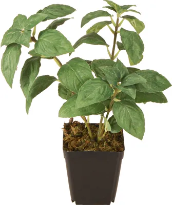 Produktbild von Künstliches Basilikum Deko im Topf 22cm Grün Kräuter