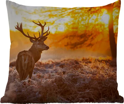 Produktbild von MuchoWow® Outdoor Kissen - Hirsche - Tiere - Sonnenuntergang - Winter - Heidekraut - Natur - 45x45 cm - Wetterfest - Lounge Kissen - Fotokissen - Dekoratives Kissen