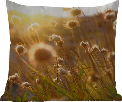 Produktbild von MuchoWow® Outdoor Kissen - Pflanzen - Natur - Blumen - Sonne - Horizont - 40x40 cm - Wetterfest - Lounge Kissen - Kopfkissen - Interieur - Polster mit Bild