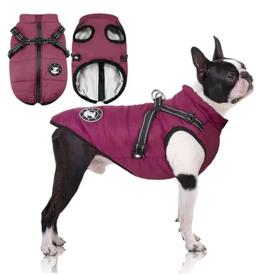 Produktbild von Hundemantel mit Geschirr Lila Warm Wasserdicht Reflektierend für Kleine Hunde