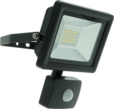Image de Projecteur Easy Connect Led 20w Noir + Détecteur De Mouvement