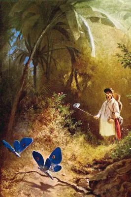 Produktbild von Carl Spitzweg Kunstdruck Bild - Der Schmetterlingsjäger, 1840 (120 x 80 cm)