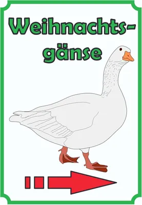 Produktbild von Weihnachtsgans Verkaufsschild Schild Hochkant mit Pfeil rechts A2 (420x594mm)