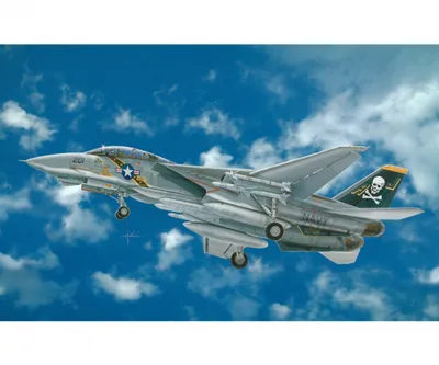 Immagine prodotto di 1:48 F-14A Tomcat 510002667